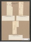 Pleurosigma intermedium W.Sm. (de-Toni-Nr.: Genus 13, Species 1004) Zeichnungen Sammlung Grunow Nr. 2036 (NHMW-BOT-W0368890)